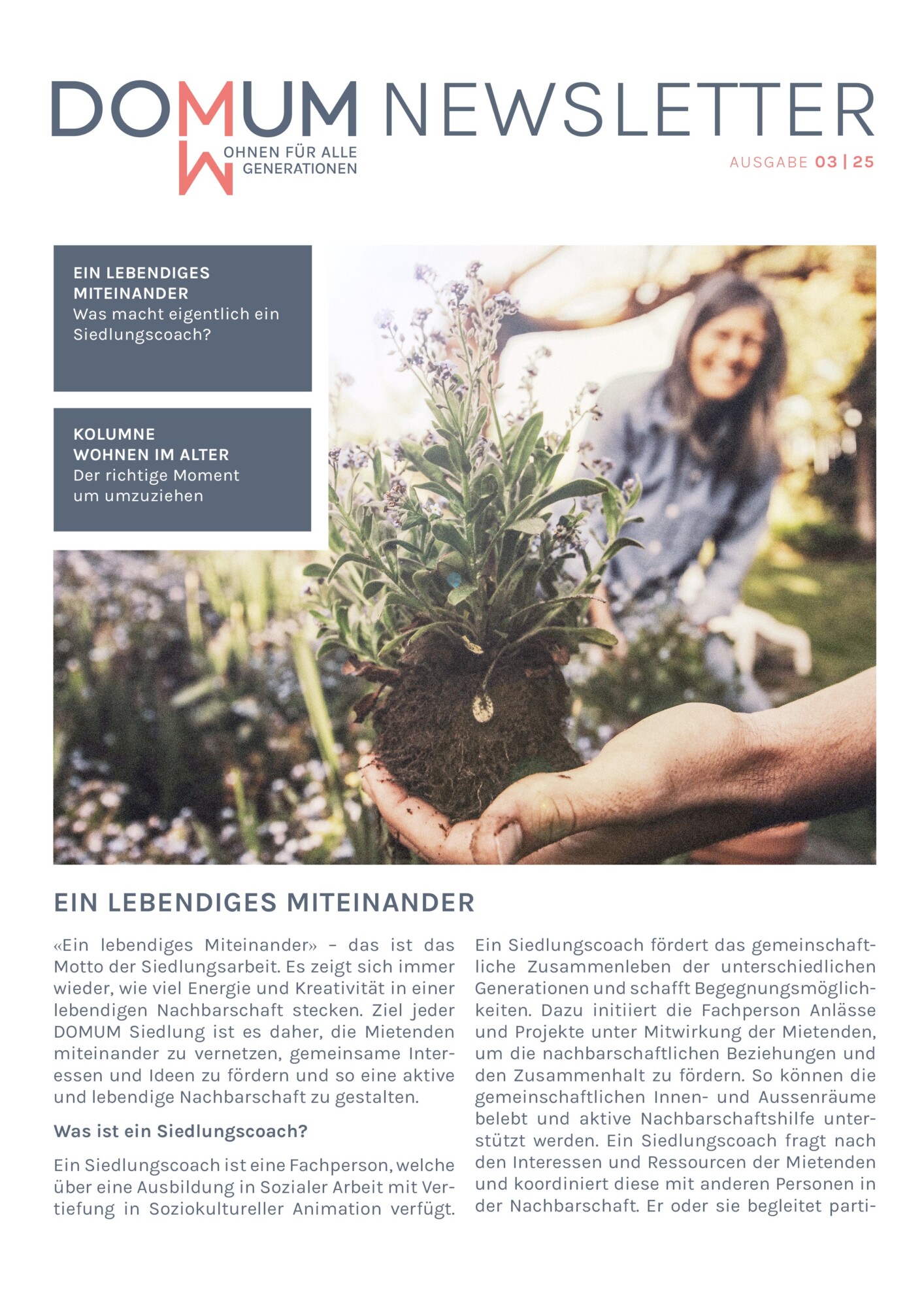DOMUM NEWSLETTER 03 | 2025