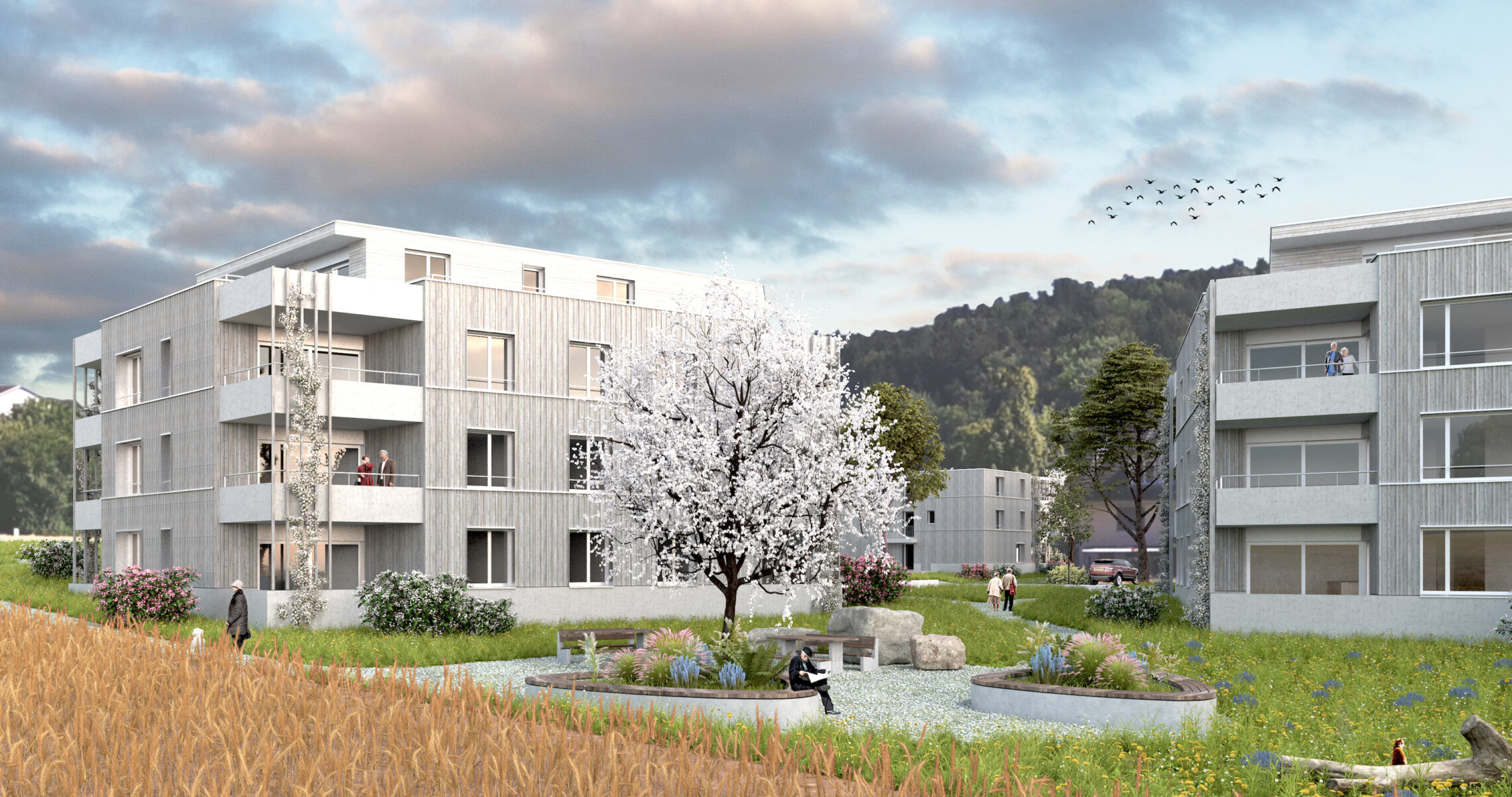 Domum Winterthur – Vier Monate vor dem Bezugsgtermin sind bereits alle 50 Wohnungen vermietet