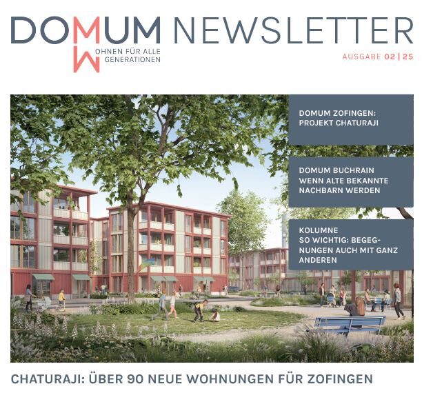 DOMUM NEWSLETTER 02 | 2025